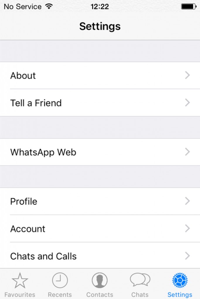 instal the last version for ios WhatsApp (2.2336.7.0)